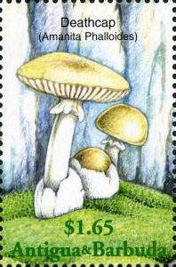 Colnect-2031-905-Amanita-phalloides.jpg