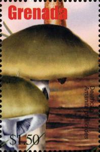 Colnect-3076-992-Amanita-phalloides.jpg