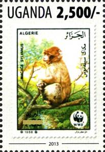 Colnect-3053-278-Barbary-Macaque-Macaca-sylvanus.jpg