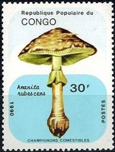 Colnect-2944-270-Amanita-rubescens.jpg