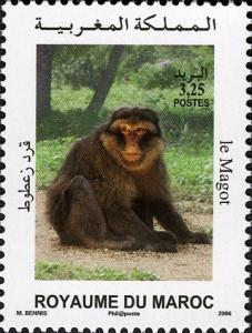 Colnect-617-485-Barbary-Macaque-Macaca-sylvanus.jpg