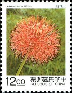 Colnect-4866-190-Haemanthus-multiflorus.jpg