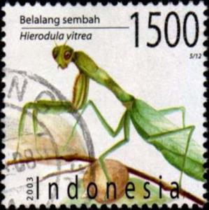 Colnect-976-150-Praying-Mantis-Hierodula-vitrea.jpg