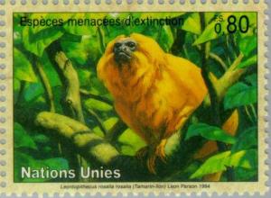 Colnect-138-503-Golden-Lion-Tamarin-Leontopithecus-rosalia.jpg