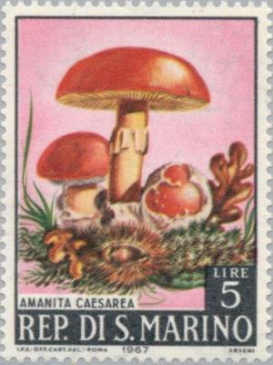 Colnect-171-553-Amanita-caesarea.jpg