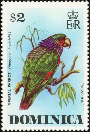 Colnect-1748-033-Imperial-Amazone-Amazona-imperialis.jpg