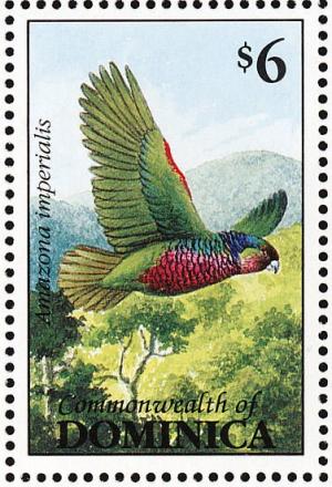 Colnect-1748-072-Imperial-Amazone-Amazona-imperialis.jpg