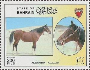 Colnect-1805-149--quot-Al-Dhahma-quot--Equus-ferus-caballus.jpg