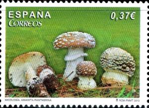 Colnect-2248-265-Amanita-Pantherina.jpg