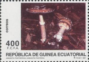 Colnect-3417-855-Amanita-pantherina.jpg