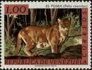 Colnect-3834-513-Puma-Felis-concolor.jpg