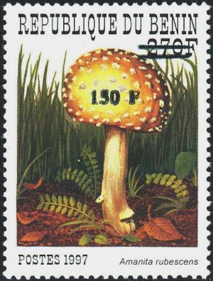 Colnect-4032-143-Amanita-rubescens.jpg