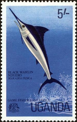 Colnect-4266-459-Black-Marlin-Makaira-indica.jpg