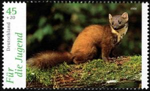 Colnect-5199-397-Pine-Marten-Martes-martes.jpg