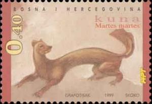 Colnect-534-633-Pine-Marten-Martes-martes.jpg