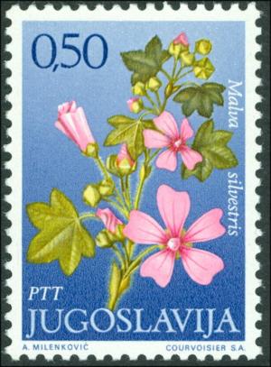 Colnect-5633-650-Malva-silvestris.jpg