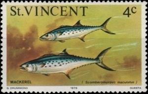 Colnect-5859-344-Atlantic-Spanish-Mackerel-Scomberomorus-maculatus.jpg