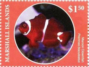 Colnect-6219-110-Maroon-clownfish.jpg