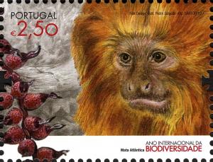 Colnect-806-018-Golden-Lion-Tamarin-Leontopithecus-rosalia.jpg