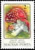 Colnect-941-831-Amanita-muscaria.jpg