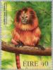 Colnect-129-537-Golden-Lion-Tamarin-Leontopithecus-rosalia.jpg