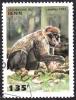 Colnect-1080-146-Barbary-Macaque-Macaca-sylvana-.jpg