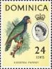 Colnect-3168-596-Imperial-Amazone-Amazona-imperialis.jpg