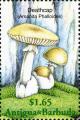 Colnect-2031-905-Amanita-phalloides.jpg