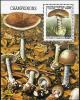 Colnect-2049-771-Amanita-phalloides.jpg