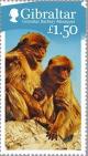 Colnect-2170-054-Barbary-Macaque-Macaca-sylvanus.jpg