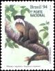 Colnect-2506-942-Emperor-Tamarin-Sanguinus-imperator-.jpg