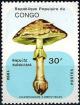 Colnect-2944-270-Amanita-rubescens.jpg