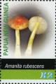 Colnect-3197-727-Amanita-rubescens.jpg