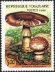 Colnect-3264-052-Amanita-rubescens.jpg