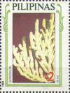 Colnect-2986-759-Bamboo-Coral-Isis-sp.jpg