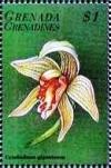 Colnect-4213-447-Cymbidium-giganteum.jpg