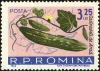 Colnect-4945-236-Cucumber-Cucumis-sativus.jpg