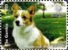 Colnect-6233-606-Pembroke-Welsh-Corgi.jpg