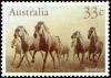 Colnect-965-600-Brumbies-Wild-Horses.jpg