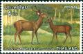 Colnect-3197-321-Sambar-Rusa-unicolor.jpg