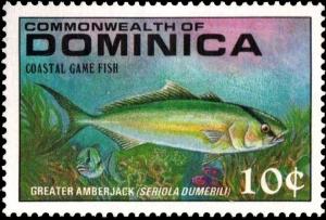 Colnect-2293-263-Greater-Amberjack-Seriola-dumerili.jpg