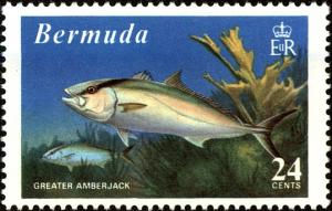 Colnect-3951-358-Greater-Amberjack-Seriola-dumerili.jpg