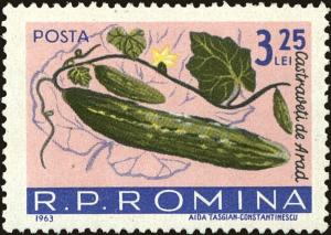 Colnect-4945-236-Cucumber-Cucumis-sativus.jpg