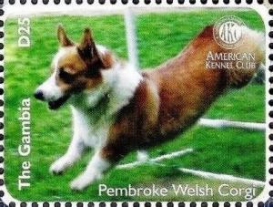 Colnect-6233-603-Pembroke-Welsh-Corgi.jpg