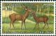 Colnect-3197-321-Sambar-Rusa-unicolor.jpg