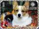 Colnect-6233-604-Pembroke-Welsh-Corgi.jpg