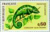 Colnect-144-780-Panther-Chameleon-Chamaeleo-pardalis.jpg