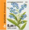 Colnect-160-633-Water-Forget-me-not-Myosotis-scorpioides.jpg