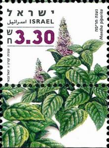 Colnect-2663-208-Mentha-piperita.jpg