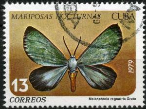 Colnect-1393-912-Moth-Melanchroia-regnatrix.jpg